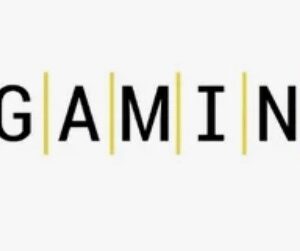 BGaming Provider Software download html5 slots api | PHP MARKET [Open Source]