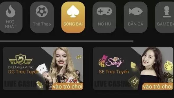 Buy Vietnam betting online casino script software | PHP MARKET [Open Source]