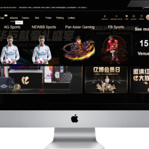 Casino Pro asia system