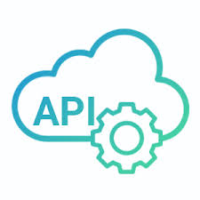 API Provider